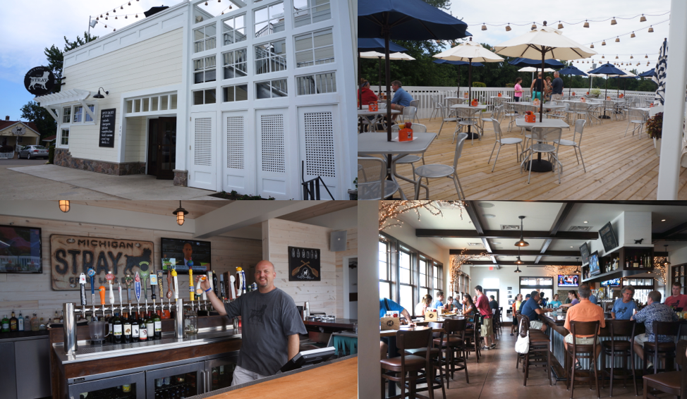 Michigan 1001 Daily Photo Stray Dog Bar and Grill in New Buffalo