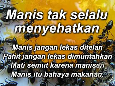 Kumpulan Pantun Lucu dan Kocak