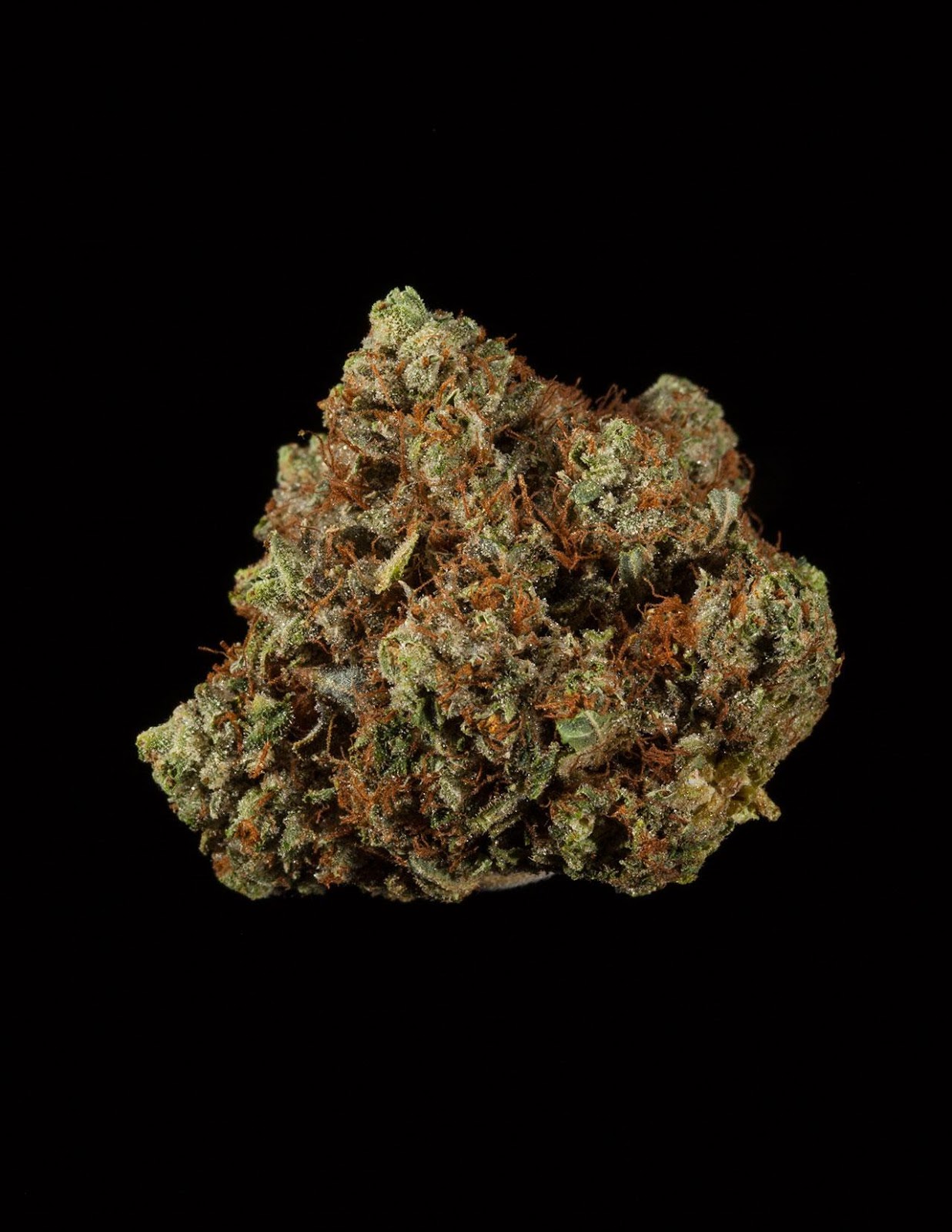 AMF OG Kush AMF OG Kush