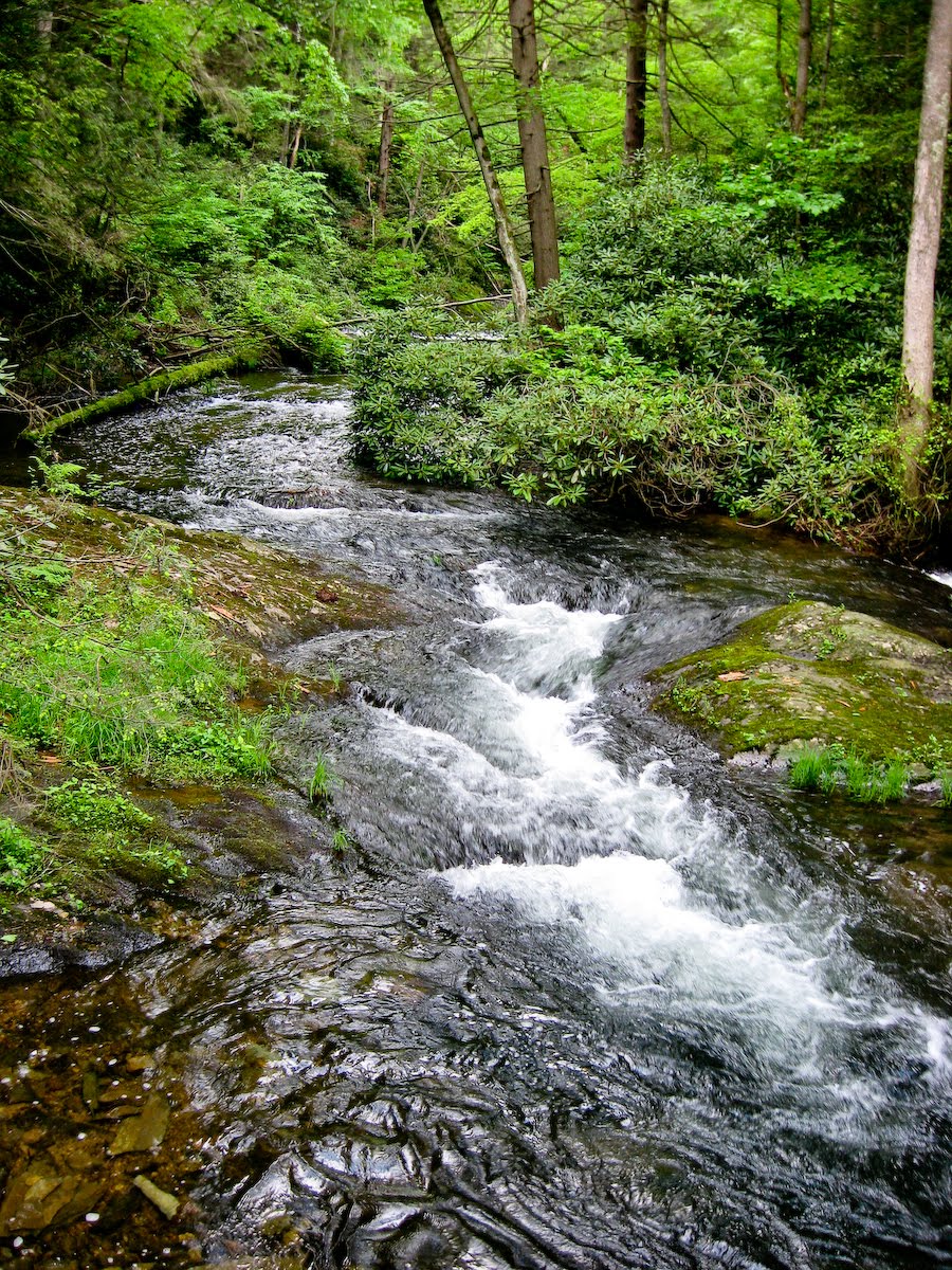Let It Shine Letterboxing and Hiking at Beltzville State Park