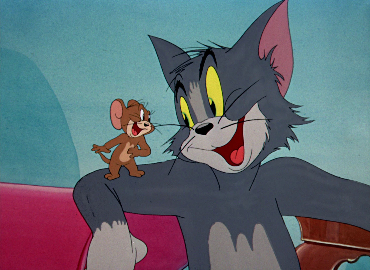 Mouse in the House" HD Captures