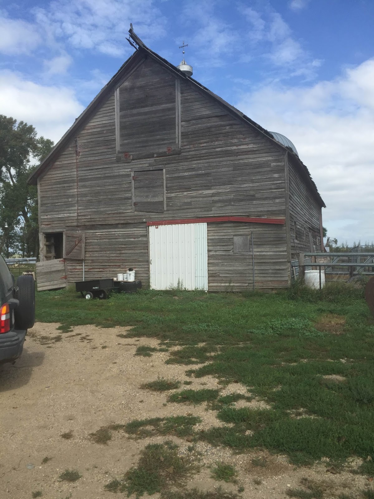 The Dabbling Crafter Diy Sunday Rustic Barn Door Headboard