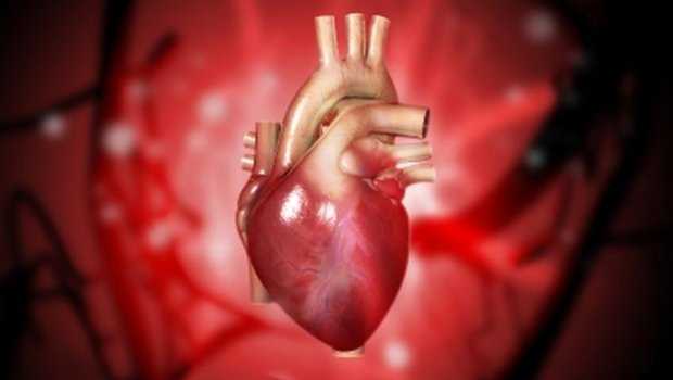 Five signals that you may have a heart attack in a month! heart