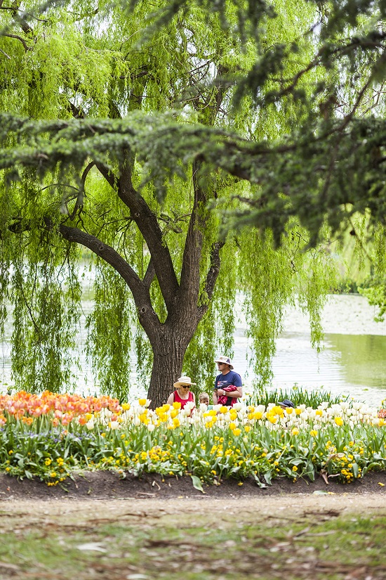 [Image: le-hoi-hoa-nuoc-Uc-8.jpg]