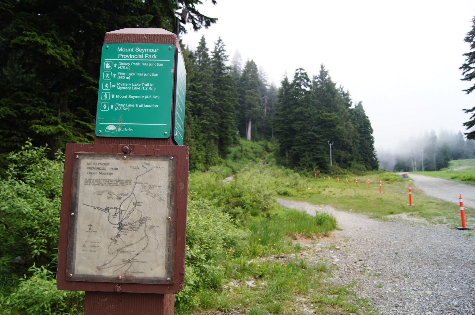 Mashed Thoughts Hiking up Mount Seymour