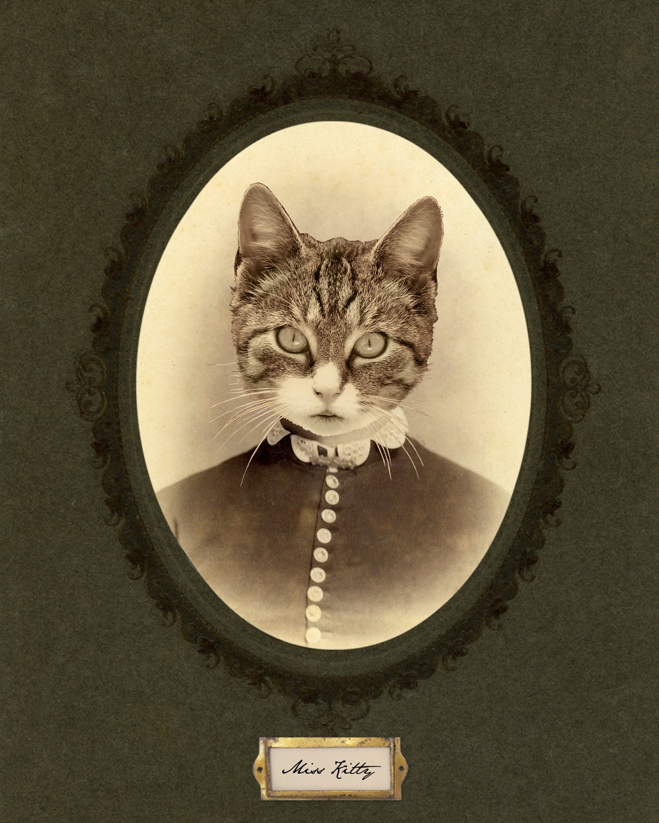 Quirky Artist Loft: Photoshop Tutorial: Digital Collage Victorian Pet  Portraits