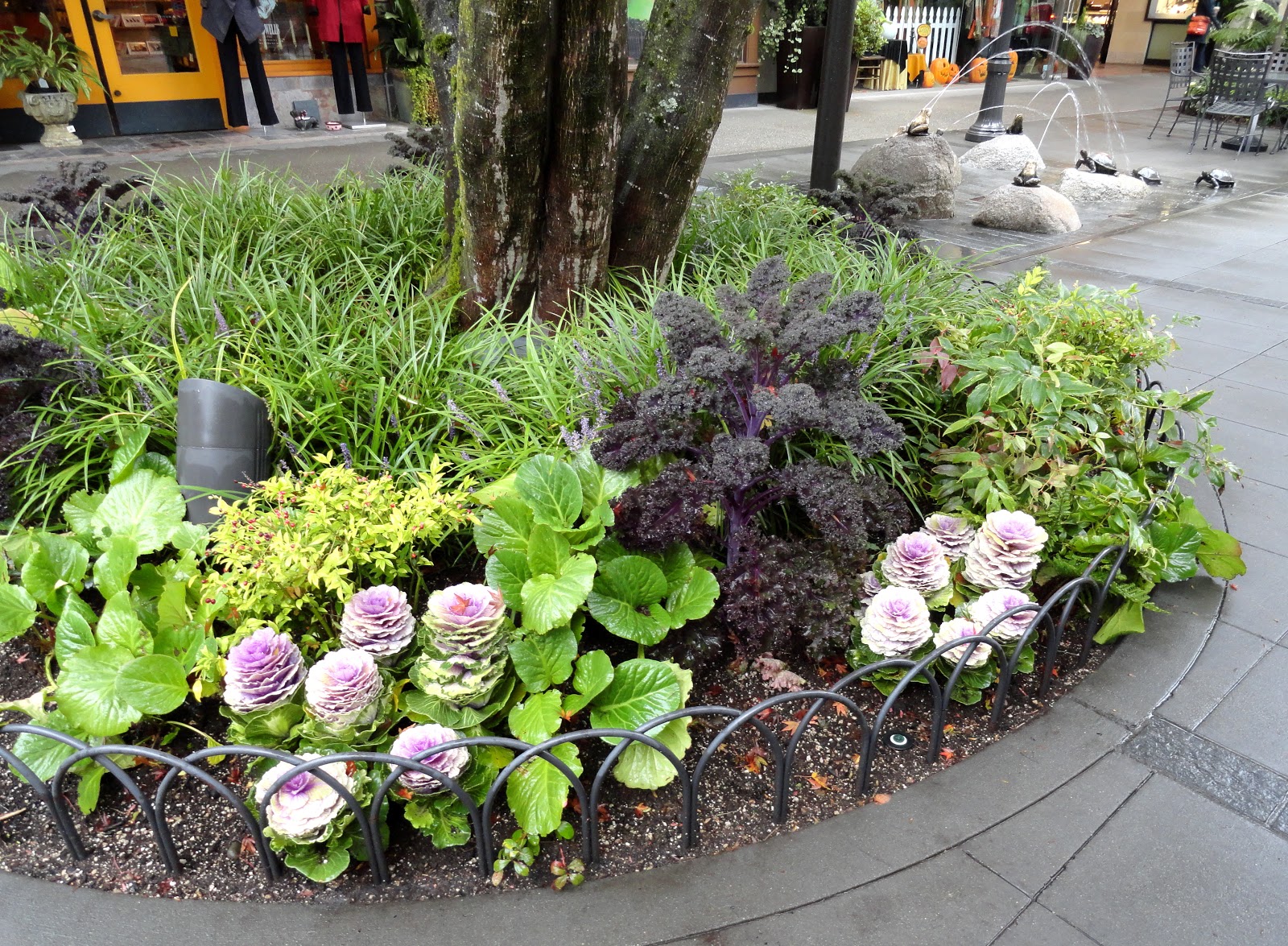 Large Shrub With Upward Spikes Of Purple Flowers
