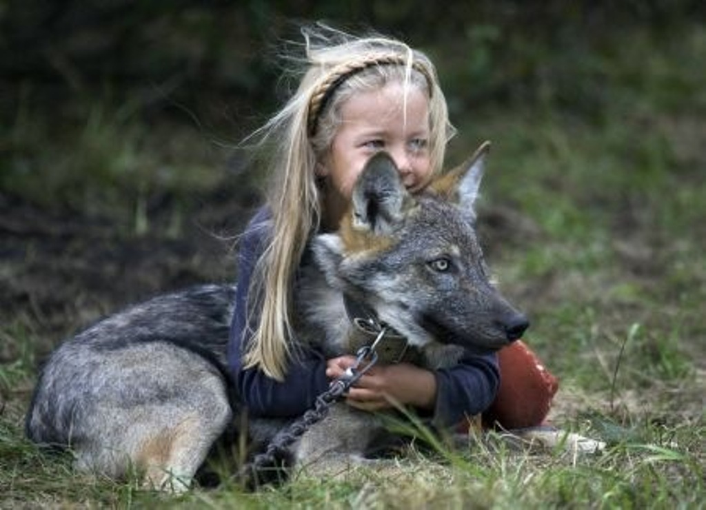 White Wolf : We Didn’t Domesticate Dogs. They Domesticated Us.