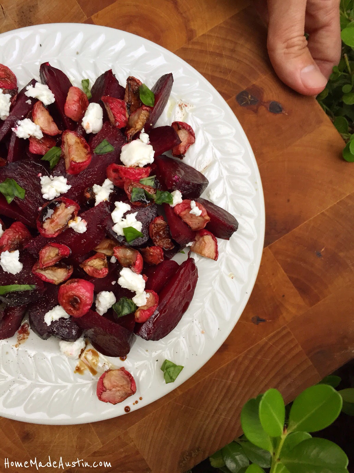 The Beet & Radish Mystery Solved: Expert Reveals All! - 6ku2udv