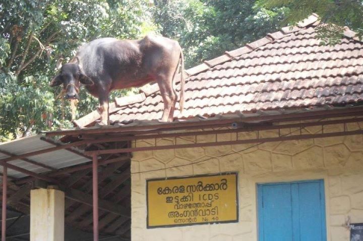 kerala funny images