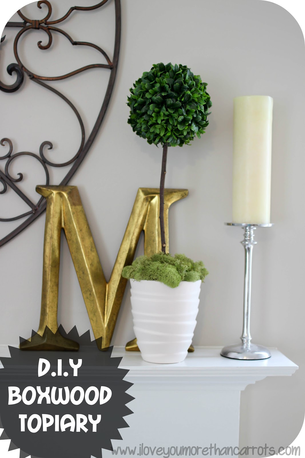 I Love You More Than Carrots D.I.Y Boxwood Topiary Take That