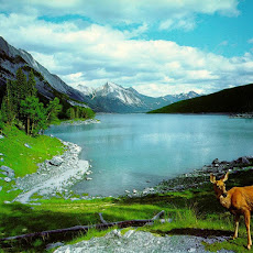 Lakes Seen On www.coolpicturegallery.us Lakes Seen On www.coolpicturegallery.us