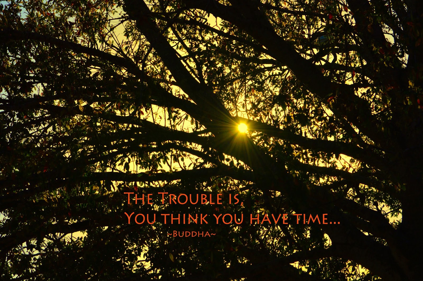 Buddha Quotes On Time. QuotesGram