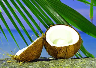 health_benefits_of_eating_coconut_fruits-vegetables-benefits.blogspot.com(9) health_benefits_of_eating_coconut_fruits-vegetables-benefits.blogspot.com(9)