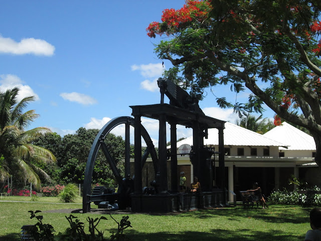 blog.oanasinga.com-going-halfway-across-the-globe-from-san-francisco-on-the-mauritius-island-44