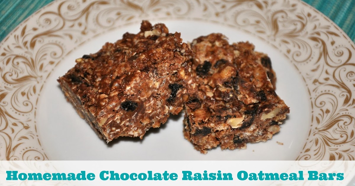 Savor The Days Homemade Chocolate Raisin Oatmeal Bars