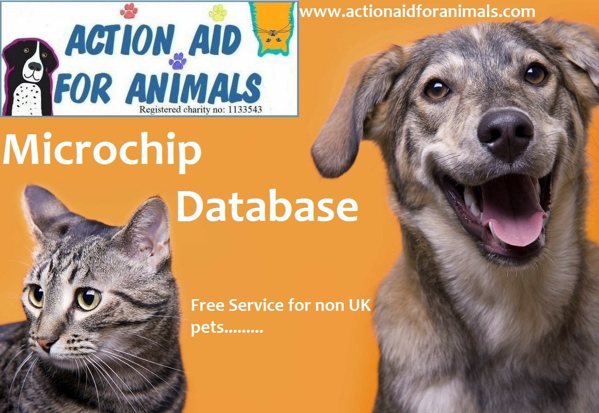 Register Foreign Dog Microchip In Uk Database Register Foreign Dog Microchip In Uk Database