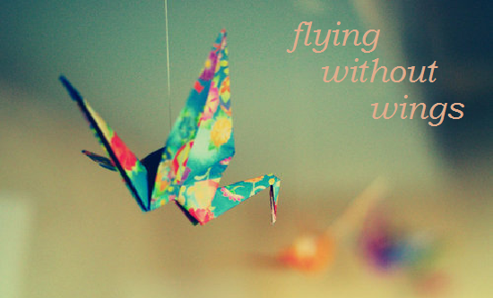 flying without wings
