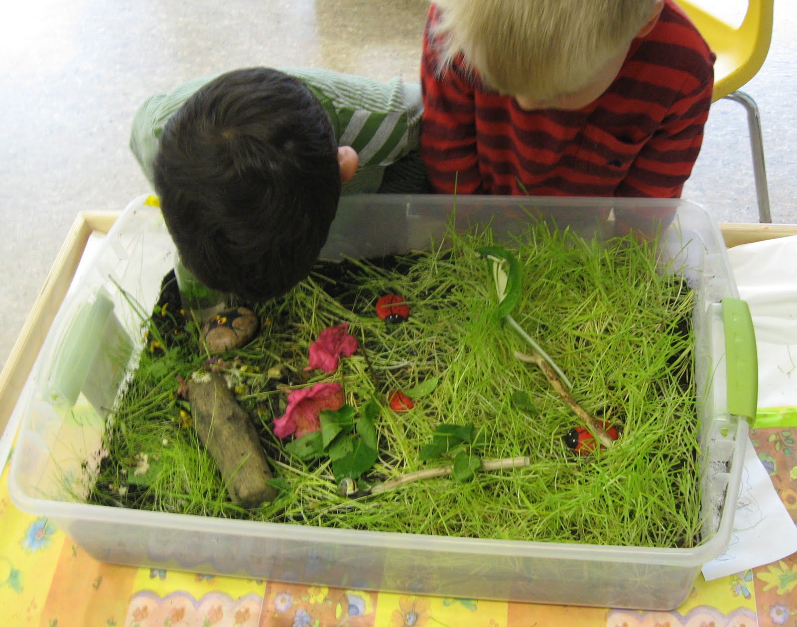 StrongStart Snail Garden