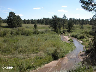 Monument Creek, CO