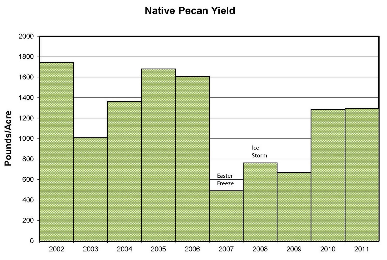 Northern Pecans 2011 Native pecan yields