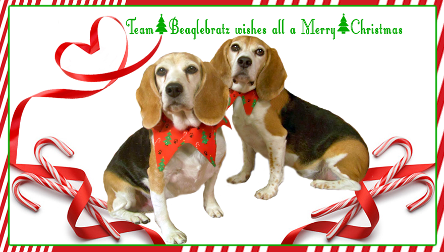 TEAM BEAGLEBRATZ