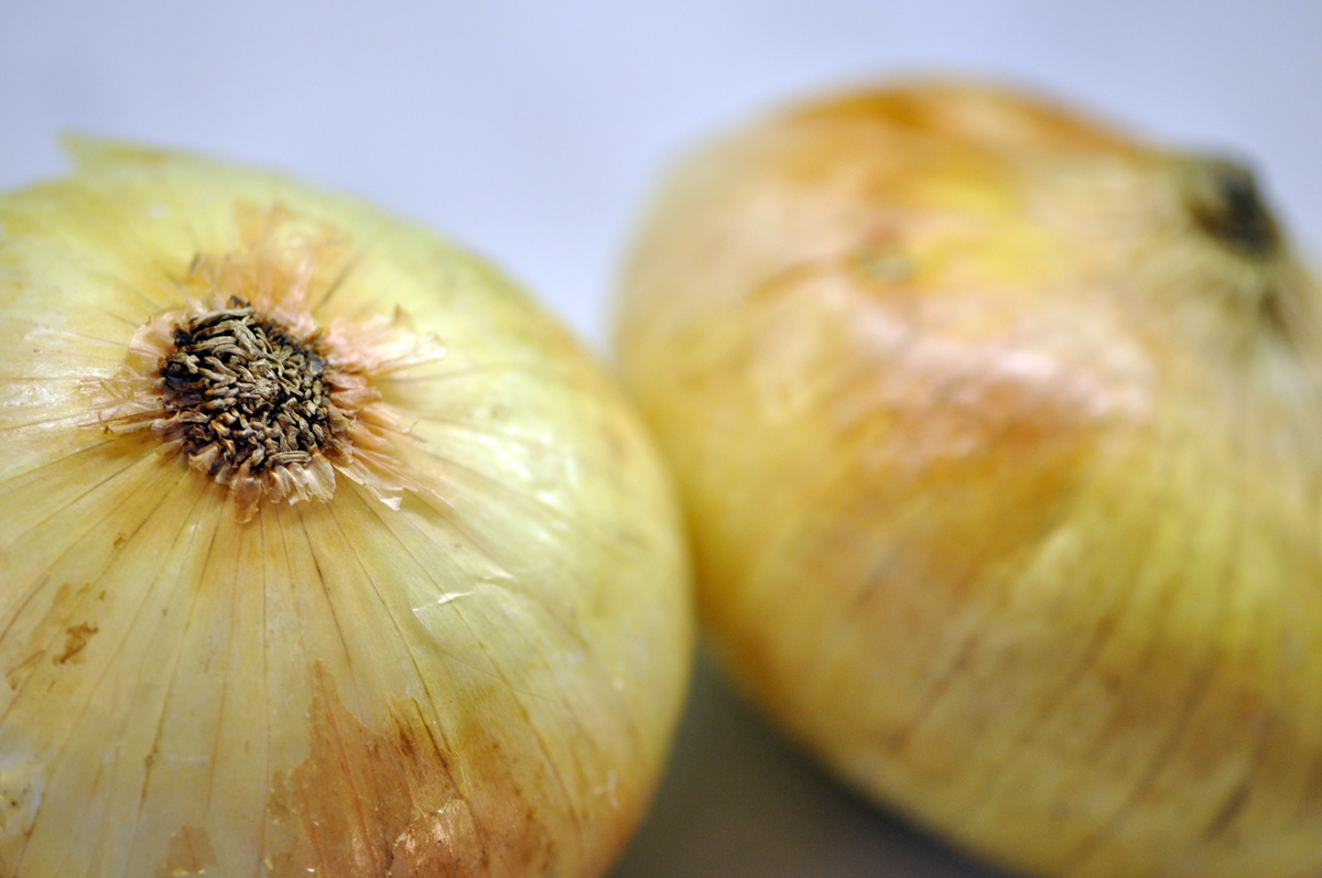 High Flavor, Low Calorie HCG Recipes Sweet Vidalia OnionPhase 2