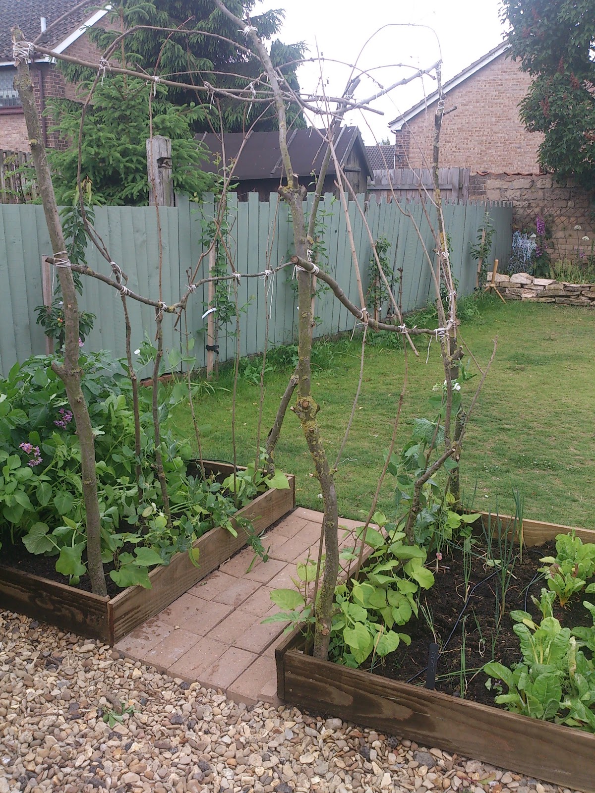 Cobble & Gobble A home made bean arch