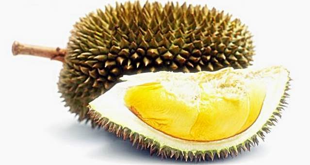 Durian Fruit For Masculinity Men Indonesia Durian Fruit For Masculinity Men Indonesia