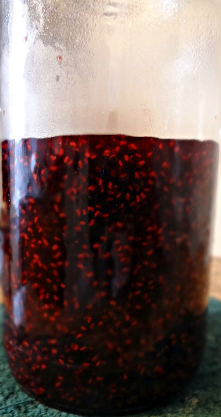 The Cooking Actress Raspberry Jam (Pectin Free)