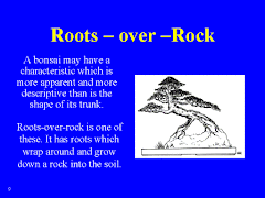 Roots over Rock