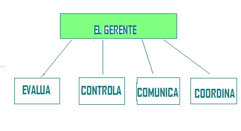 FUNCION DE GERENCIA GENERAL funcion de gerencia general: