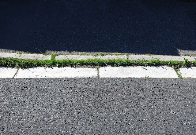 Strip of grass where the kerb dips to allow cars across the pavement