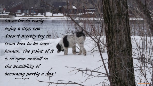 Dog Quotes Dog Quotes | More About My Dogs
