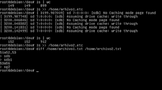 Montar un Dispositivo USB en Debian