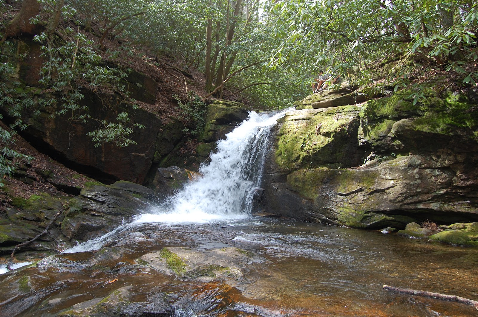 Raven Cliff Falls, GA