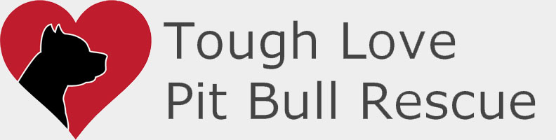Tough Love Pit Bull Rescue