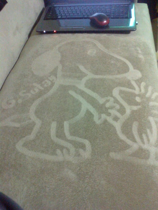 Kadife Kumaşlı Koltuğa Resim Çizme Sanatı: Sedemizm