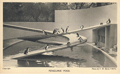 Penguin animal architecture failure