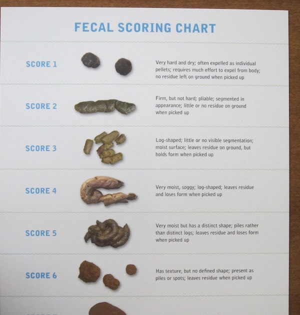 Fecal Scoring Chart