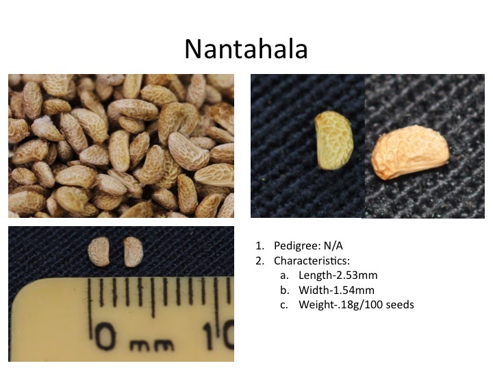 Team Rubus Raspberry Seed Morphology