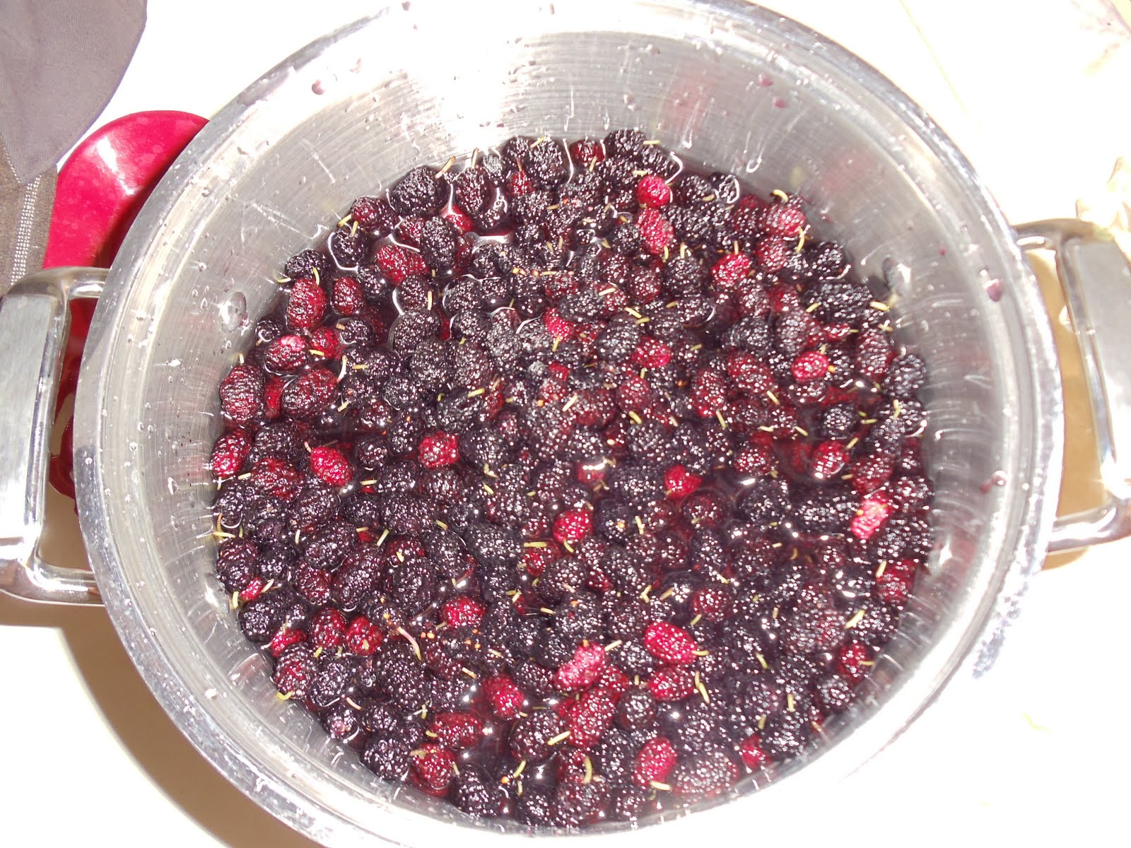 Learning The Frugal Life Homemade Mulberry Jelly
