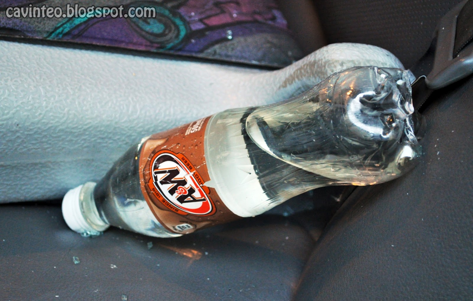 Entree Kibbles Killer Litter Murderer of the Car Windscreen