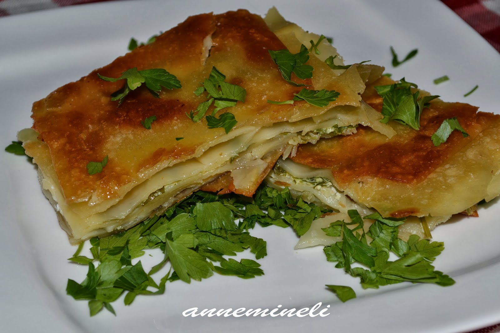 ANNEMİNELİ LAZANYADAN SU BÖREĞİ