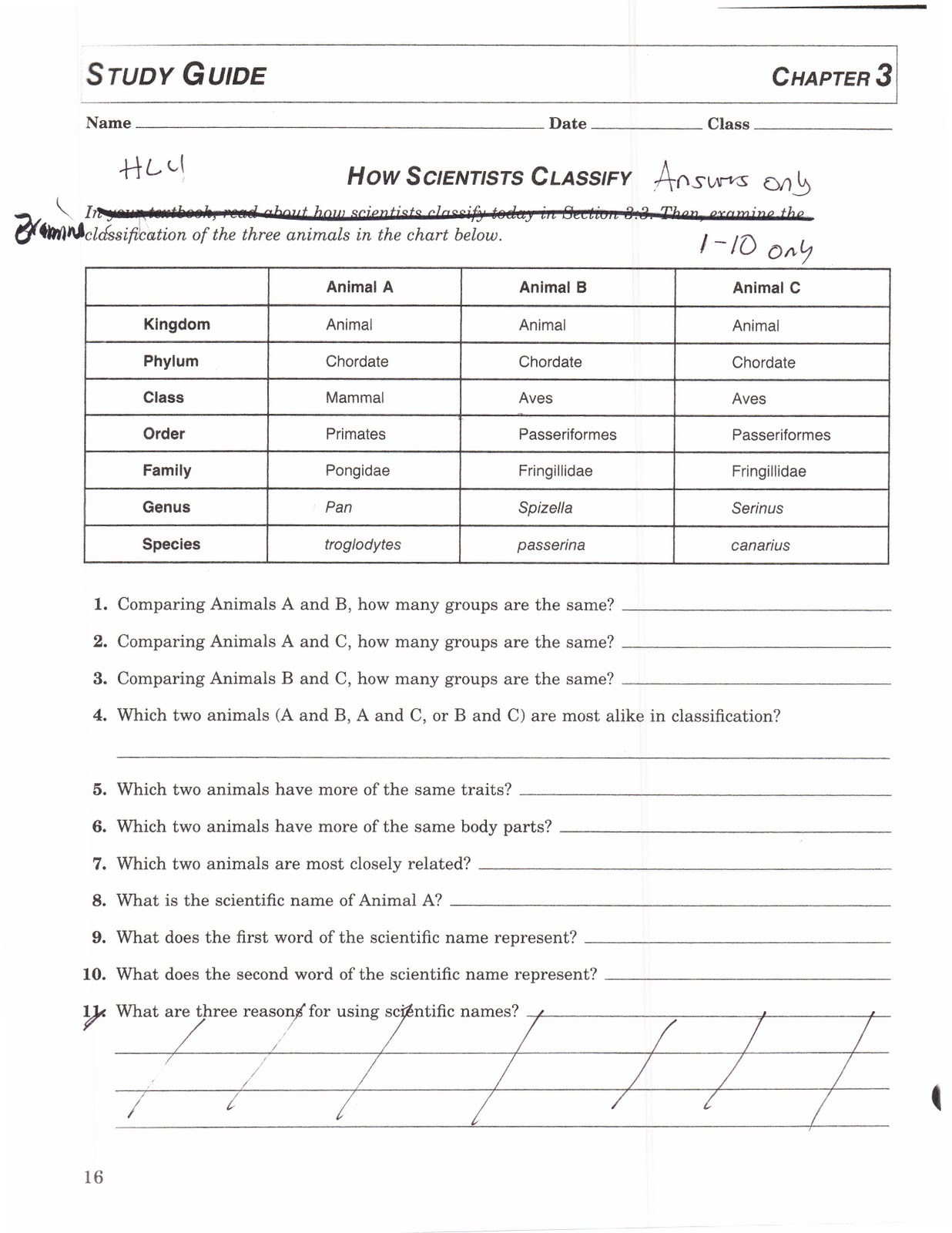 Worksheets Classifying Organisms Worksheet classification of organisms worksheet 5th grade 6th living things 1000 images about