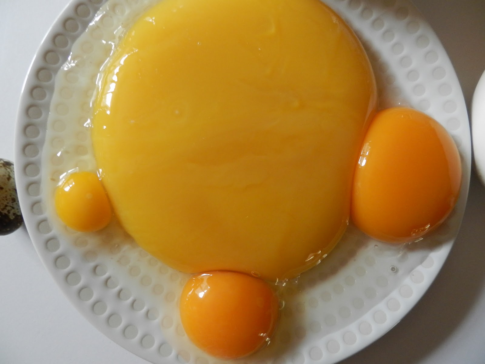 Résultat de recherche d'images pour "oeuf autruche omelette"
