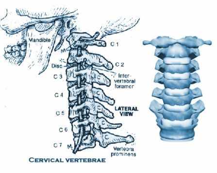 sintomi cervicale cervicale: sintomi rimedi