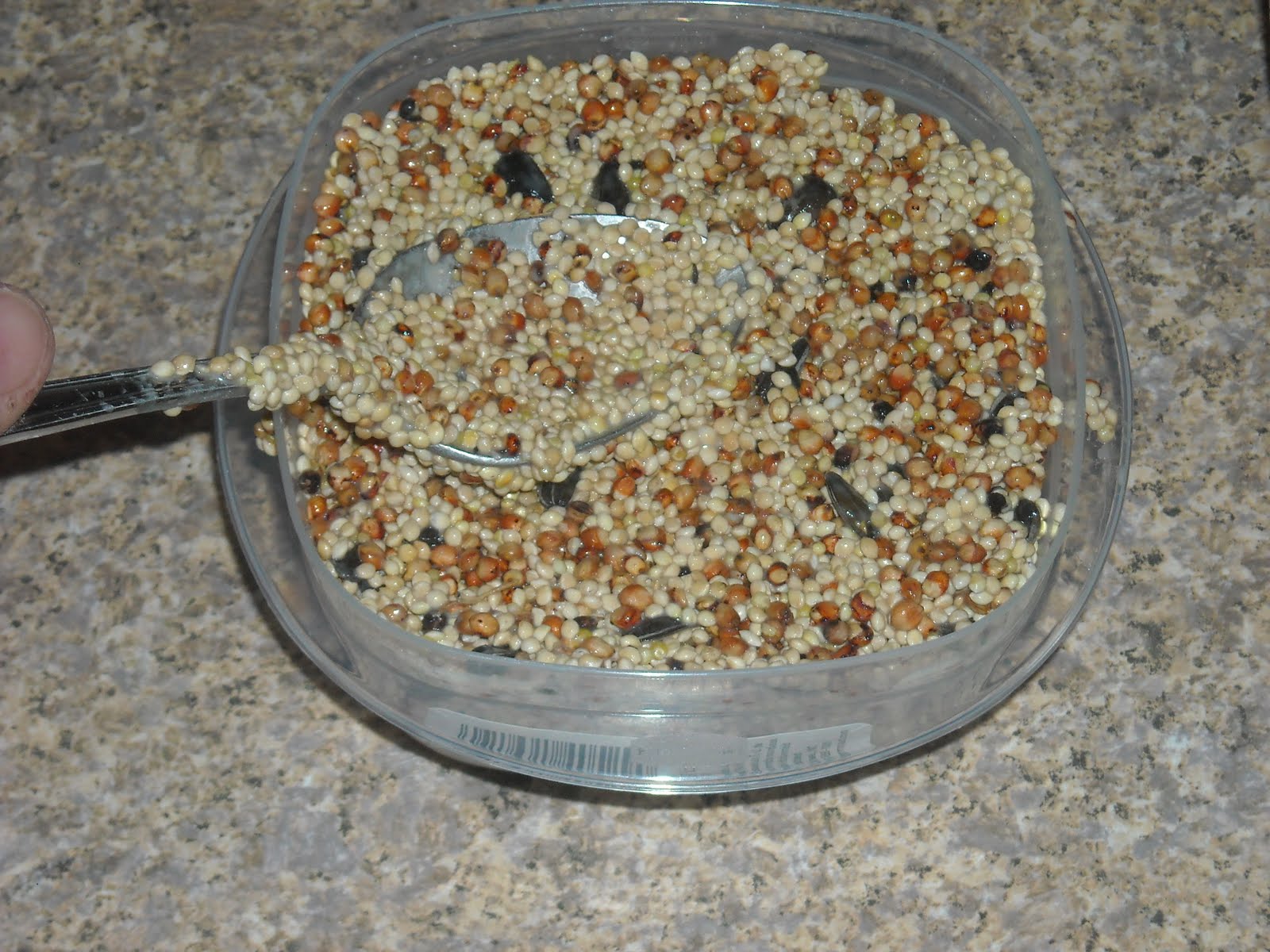 Paperlover123 Bird seed cake tutorial