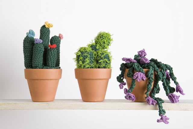 cactus au crochet 3+Cactus