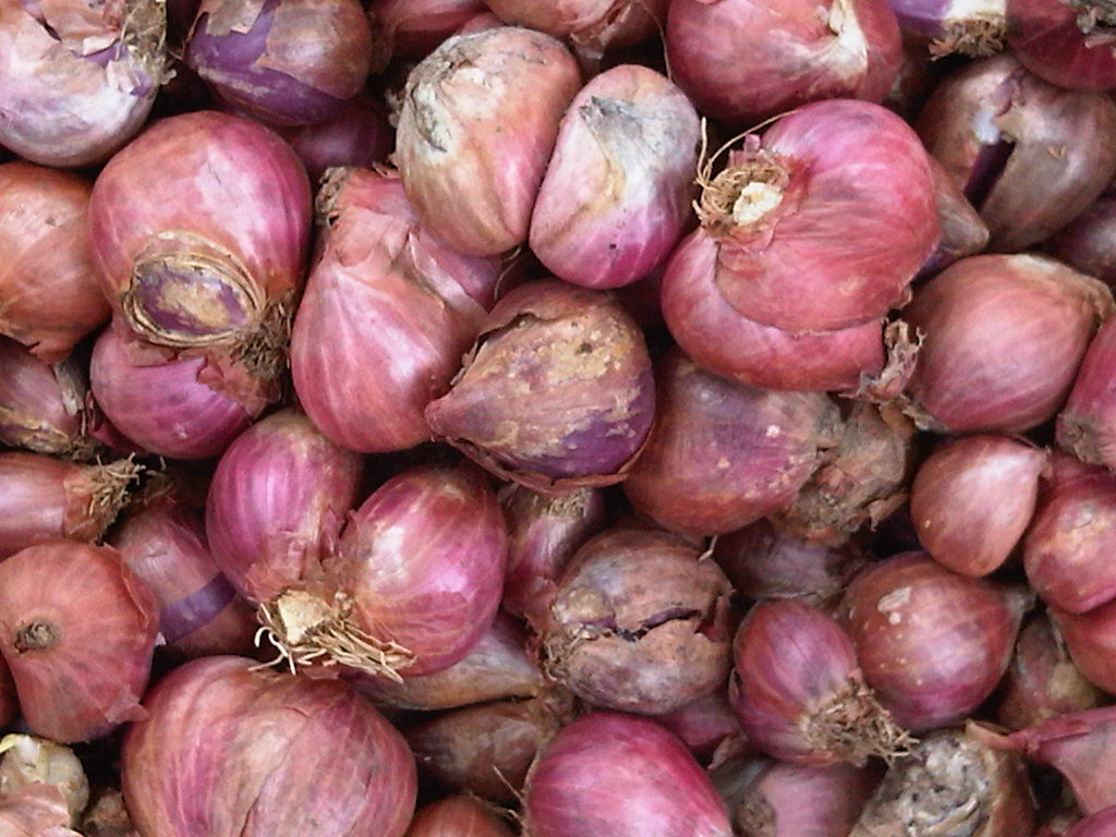 BUANASENI SIRI PASAR 4 Bawang Merah, Bawang Putih